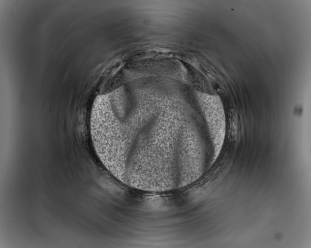 X0000099470616200805301557