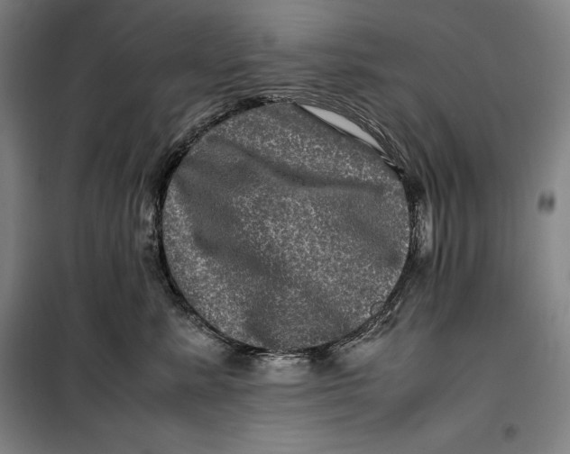 X0000099470619200805301557