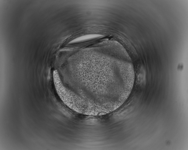 X0000099470620200805301557