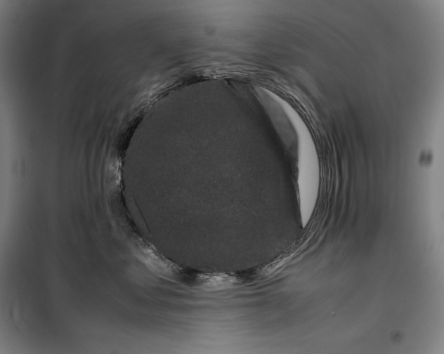 X0000099470621200805301557