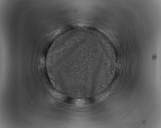 X0000099470623200805301557