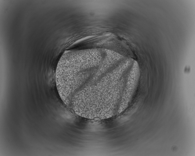 X0000099470624200805301557