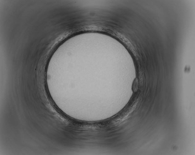 X0000099470625200805301557