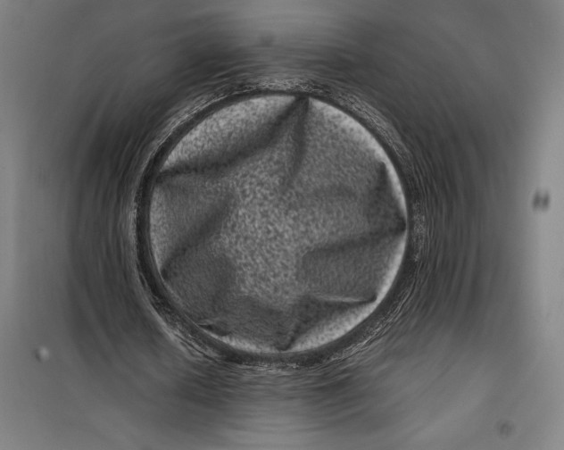 X0000099470626200805301557