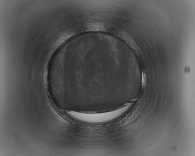 X0000099470627200805301557