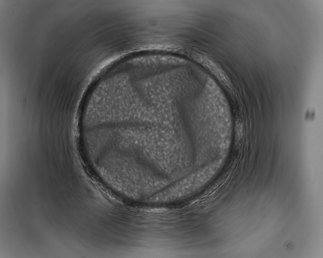 X0000099470628200805301557