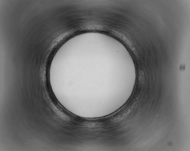 X0000099470629200805301557