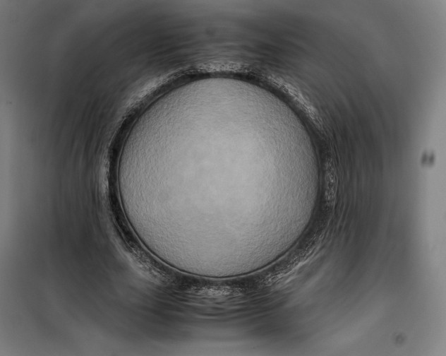 X0000099470631200805301557