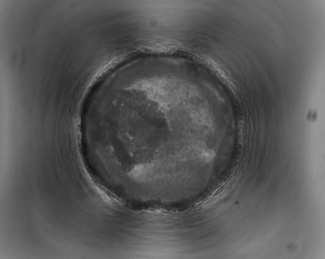 X0000099470634200805301557