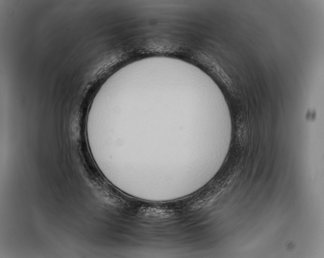 X0000099470635200805301557