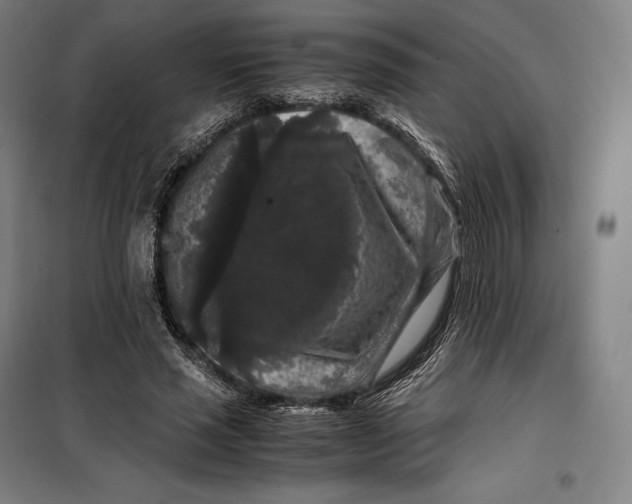 X0000099470637200805301557