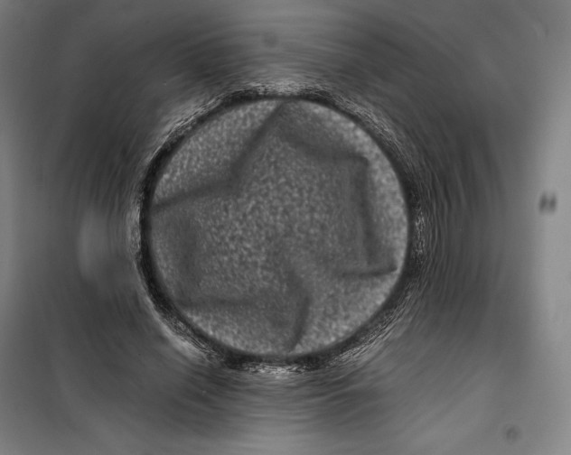 X0000099470638200805301557