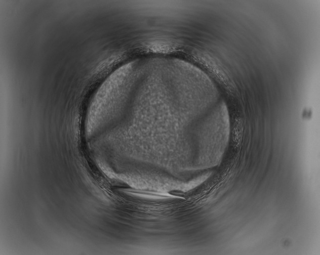 X0000099470639200805301557