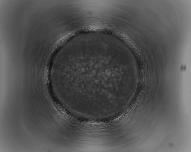 X0000099470640200805301557