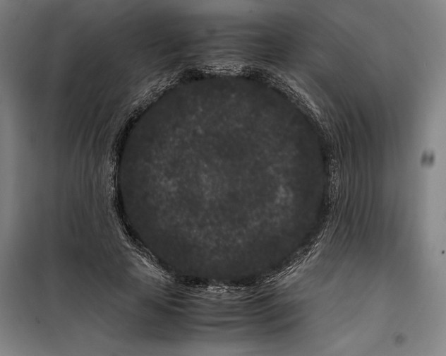 X0000099470641200805301557