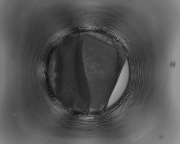 X0000099470643200805301557