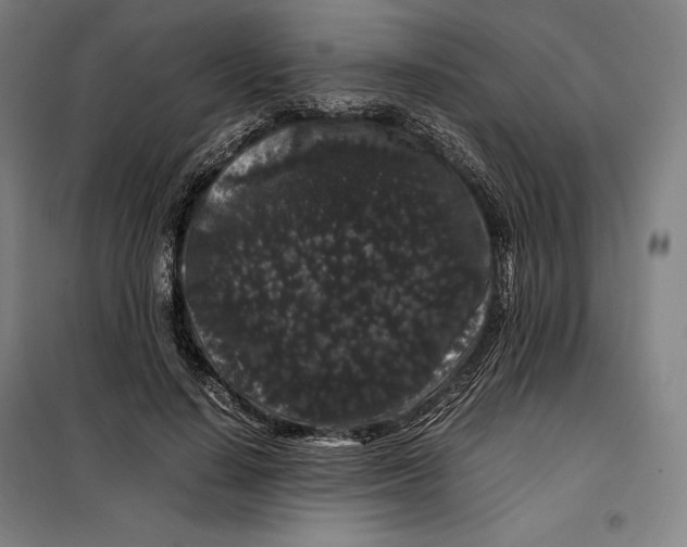 X0000099470644200805301557