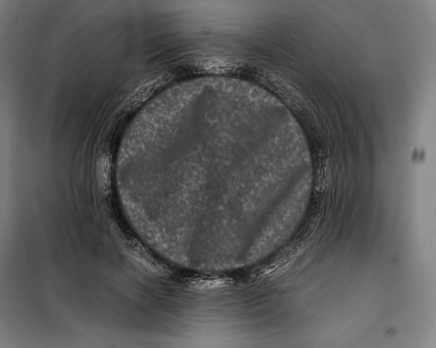 X0000099470646200805301557