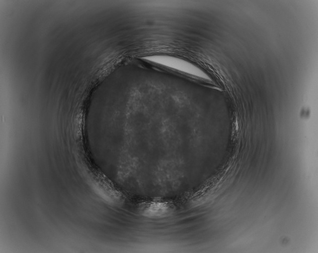 X0000099470647200805301557