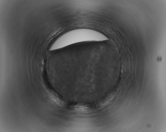 X0000099470648200805301557