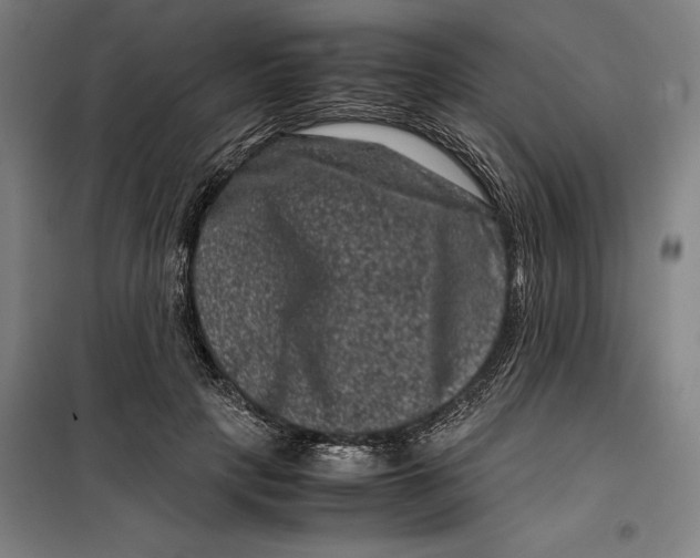 X0000099470649200805301557