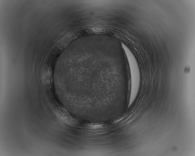 X0000099470651200805301557