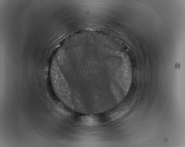 X0000099470652200805301557