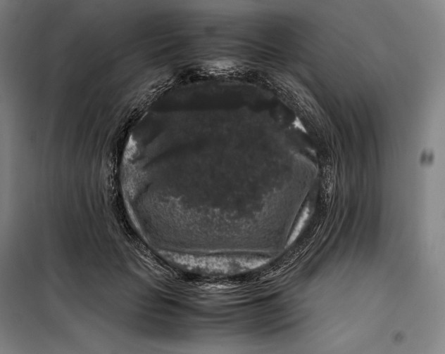 X0000099470653200805301557