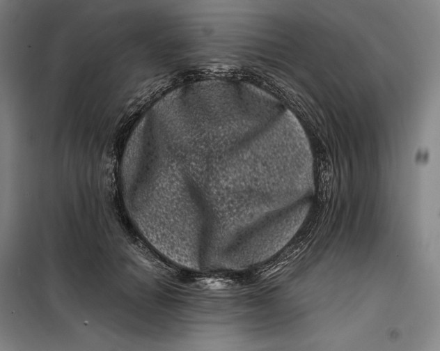 X0000099470654200805301557