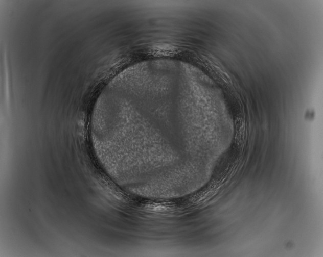 X0000099470655200805301557