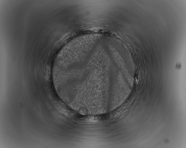 X0000099470656200805301557