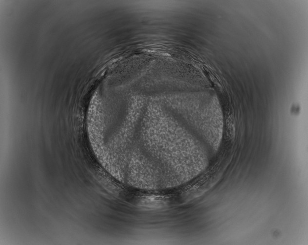 X0000099470657200805301557