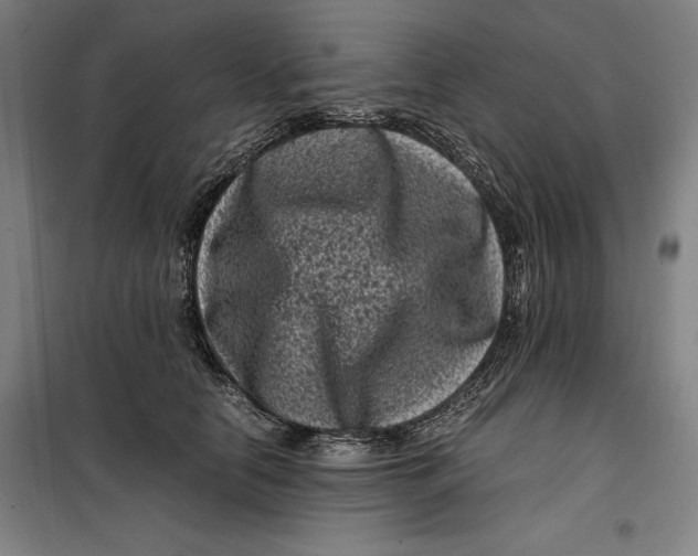 X0000099470658200805301557