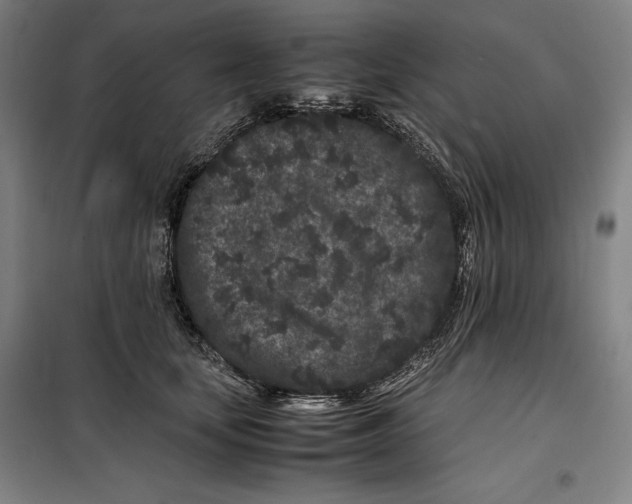 X0000099470659200805301557