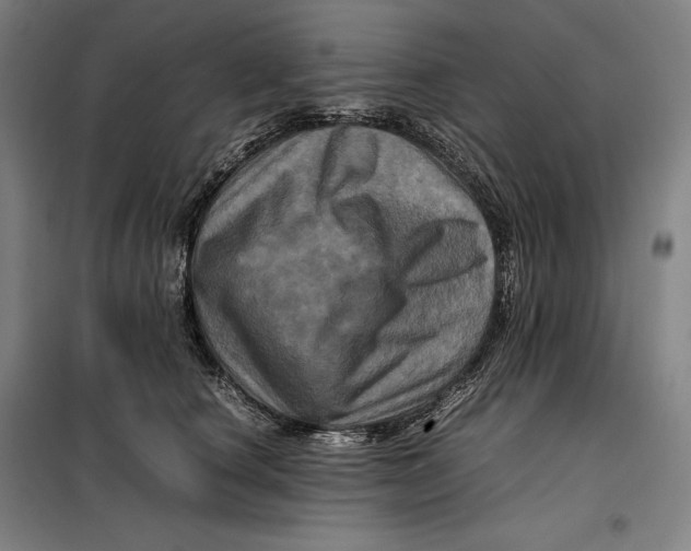 X0000099470660200805301557