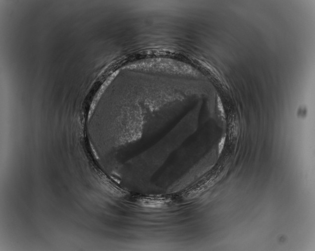 X0000099470661200805301557