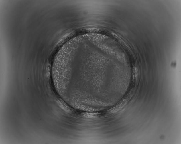 X0000099470664200805301557