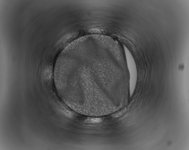 X0000099470665200805301557