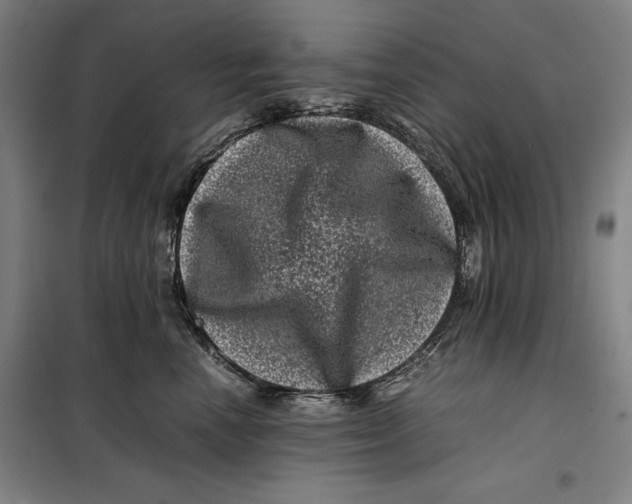 X0000099470666200805301557