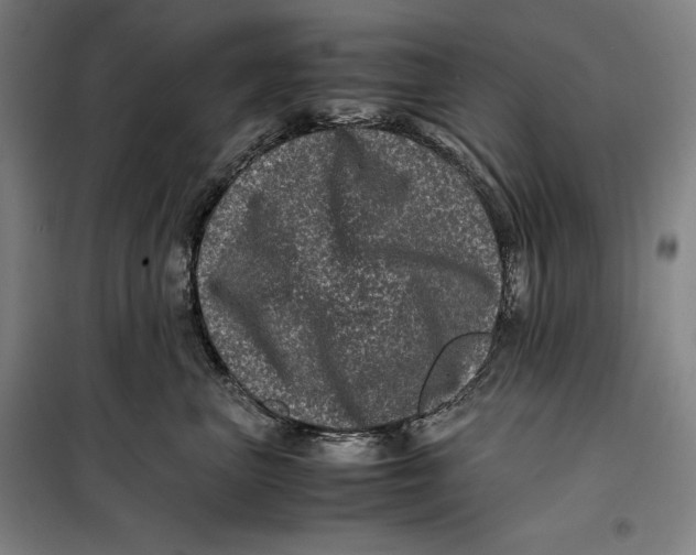 X0000099470667200805301557