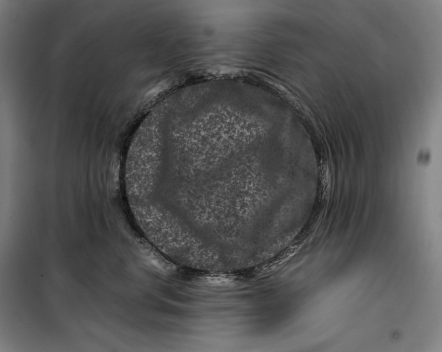 X0000099470668200805301557