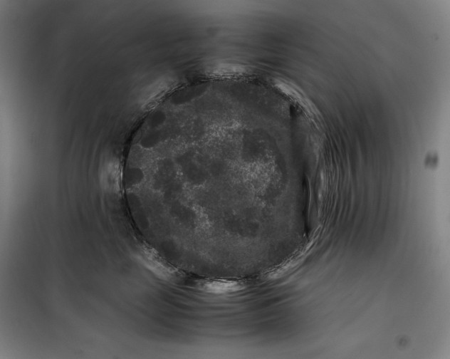 X0000099470669200805301557