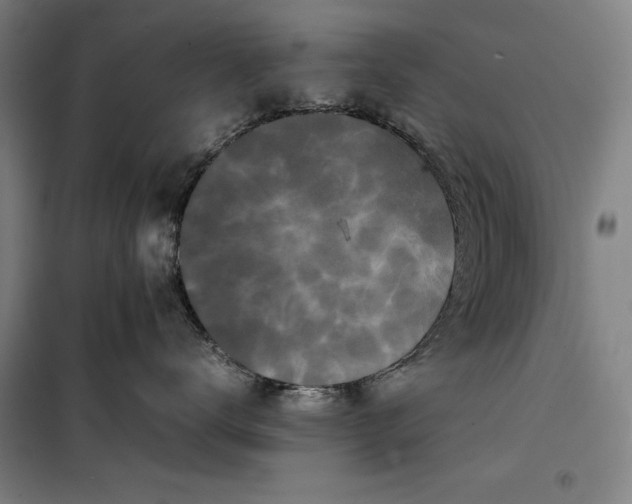 X0000099470672200805301557