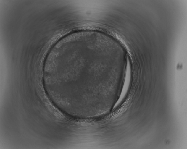 X0000099470673200805301557