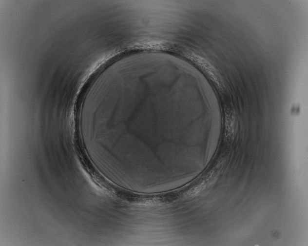 X0000099470674200805301557