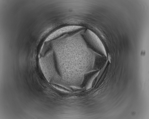 X0000099470675200805301557