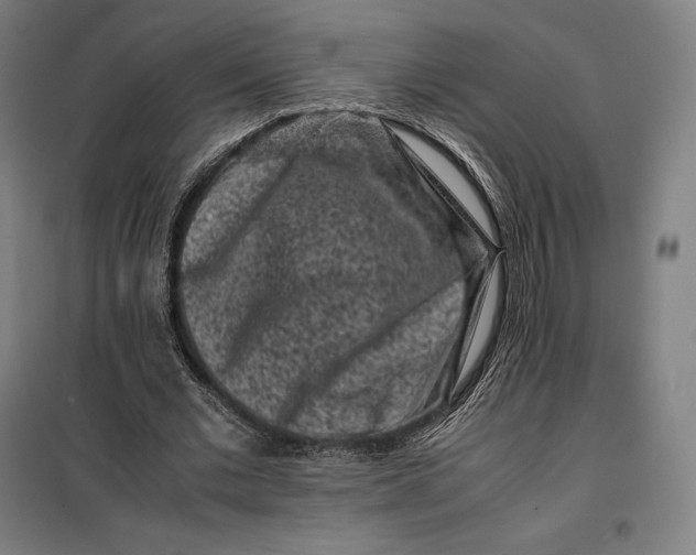 X0000099470677200805301556