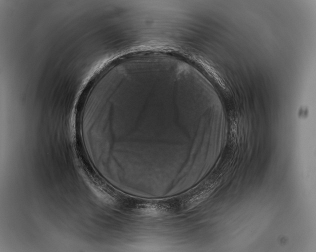 X0000099470678200805301556