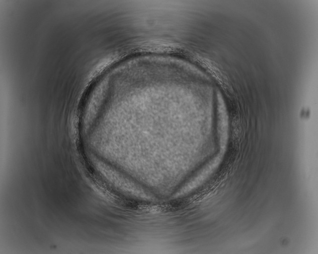 X0000099470679200805301556