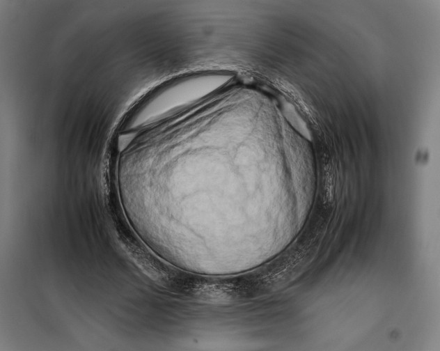 X0000099470680200805301556